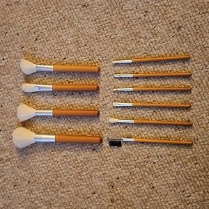 10 pc. Makeup Brush Set NWT